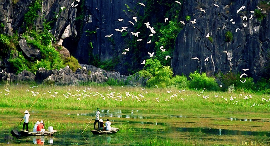 Image gallery